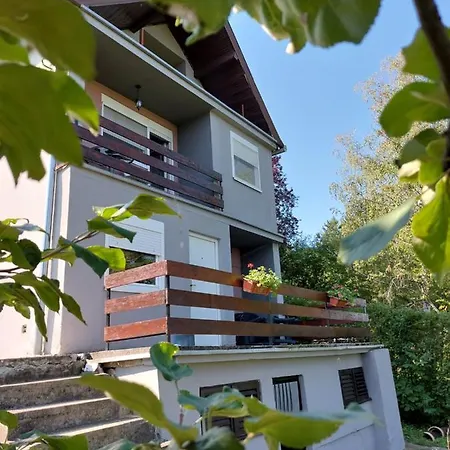 Olor Apartman 2 -