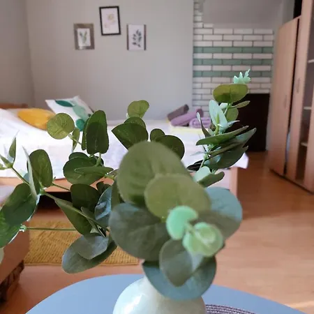Olor Apartman 2 - Apartment *